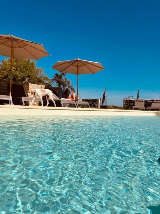 Dome Insolite Cedre Jacuzzi Et Petits Dejeuners Inclus Lagraulet-du-Gers Buitenkant foto