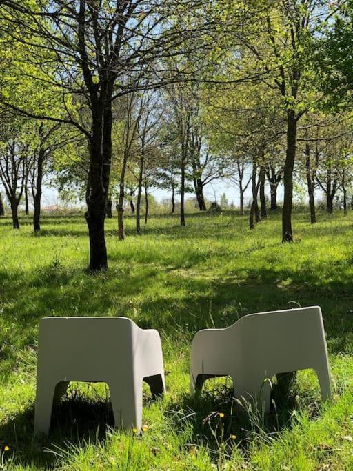Dome Insolite Cedre Jacuzzi Et Petits Dejeuners Inclus Lagraulet-du-Gers Buitenkant foto