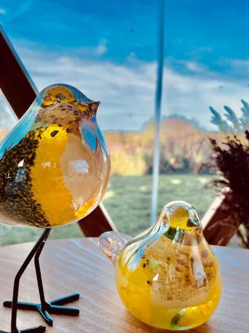 Dome Insolite Cedre Jacuzzi Et Petits Dejeuners Inclus Lagraulet-du-Gers Buitenkant foto