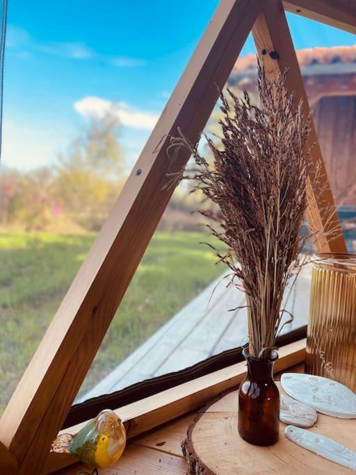 Dome Insolite Cedre Jacuzzi Et Petits Dejeuners Inclus Lagraulet-du-Gers Buitenkant foto