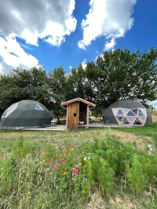 Dome Insolite Cedre Jacuzzi Et Petits Dejeuners Inclus Lagraulet-du-Gers Buitenkant foto