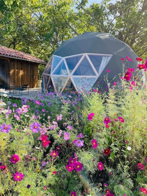 Dome Insolite Cedre Jacuzzi Et Petits Dejeuners Inclus Lagraulet-du-Gers Buitenkant foto