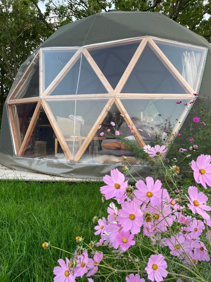Dome Insolite Cedre Jacuzzi Et Petits Dejeuners Inclus Lagraulet-du-Gers Buitenkant foto